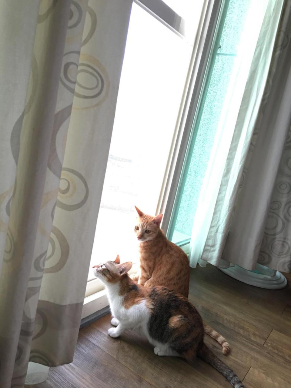 Beauty Home Homestay Hualien Dış mekan fotoğraf